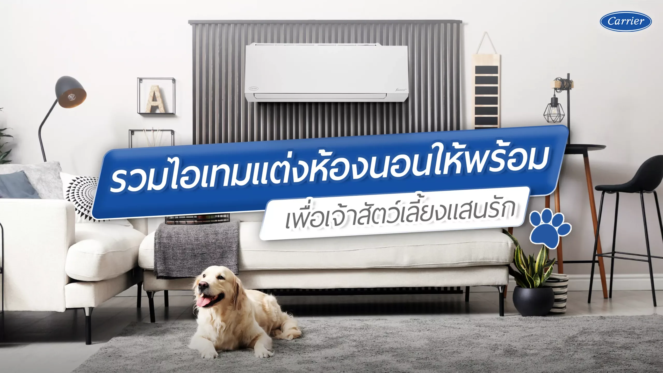 1-รวมไอเทมแต่งห้องนอนให้พร้อมกับเจ้าสัตว์เลี้ยงแสนรัก_3