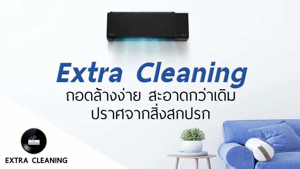Extra Cleaning