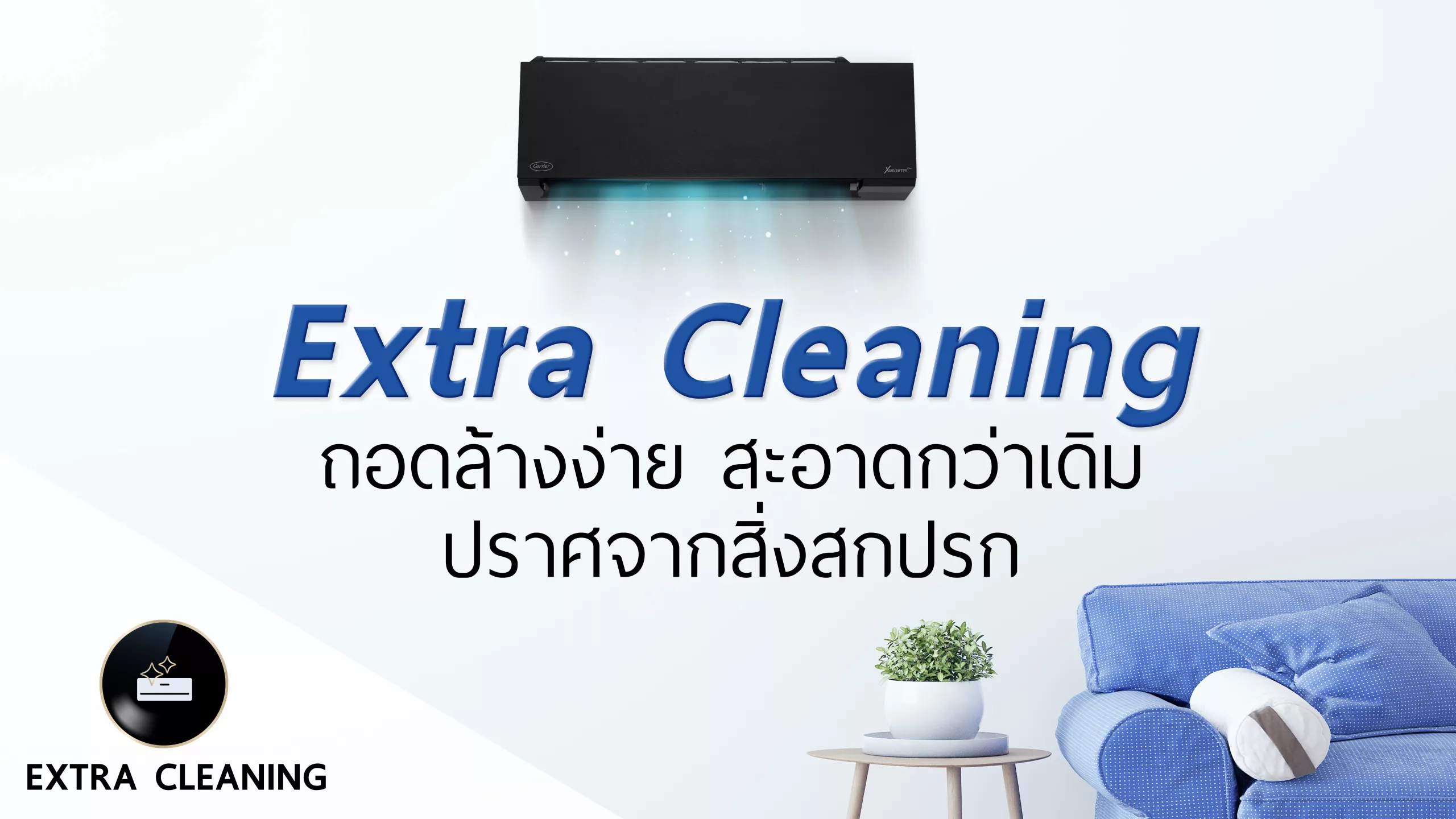 Extra Cleaning