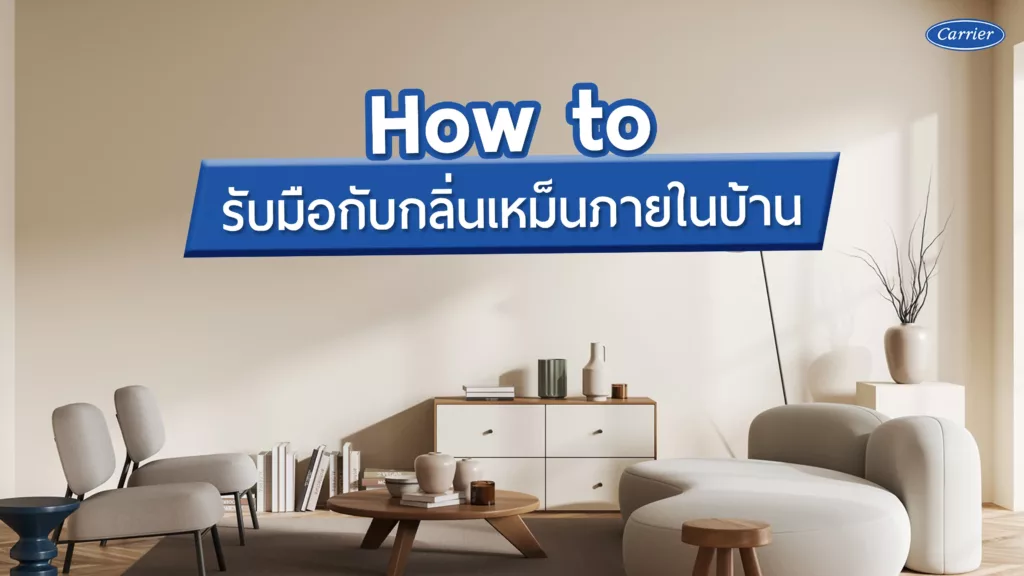 6 วิธีรับมือปัญหากลิ่นเหม็นในบ้าน ง่ายนิดเดียว